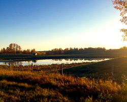 Pasture Sunset